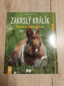 Kuchařka,kniha o mateřství koně origami Vánoce - 10