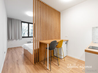 Pronájem bytu 1+kk, Na Větrníku, Břevnov, 15000 Kč/měs, 27 m - 10