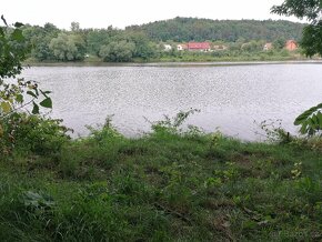 pronájem zahrady přímo u břehu řeky Vltava o celkové výměře - 10