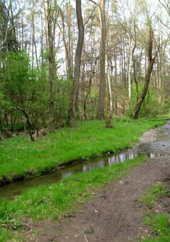 Dlouhodobý pronájem 3+1 68m2 a12m2 lodžie Praha 4 Modřany - 10