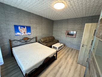 Pronájem bytu 1+1, 41m2, U Vlastního Krbu, Teplice - 10