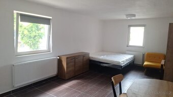 pronájem pokoje Vraňany Mělník - 10