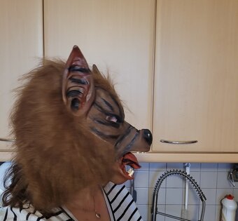Masky různé druhy a paruky - 10