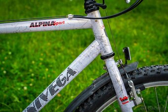 Horské kolo Univega Alpina Sport - 10