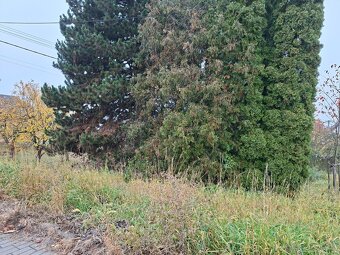 Prodej pozemku 308 m² - Blansko - Těchov - 10