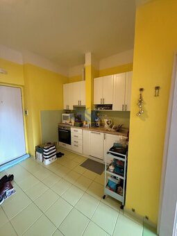 Prodej bytu 1+1, 52 m2, Praha 4 - Braník, ul. Na Mlejnku - 10