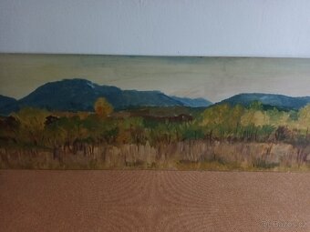 Obrazy bez rámu - 10