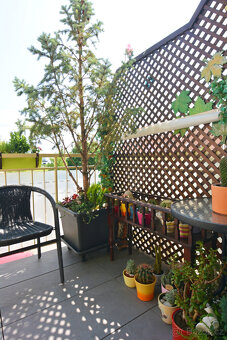 Prodej cihlového bytu 2+kk 46 m² Švehlova, Šlapanice - 10