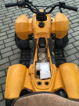 Atv 110 - 10