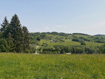 Prodej pozemku k možné výstavbě nové chaty/chalupy, Borušov - 10
