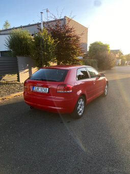 Audi A3 8P 1.6 benzin 75kw - 10