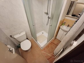 Prodej rodinného domu 160 m², pozemek 800 m², Hoděšovice - 10