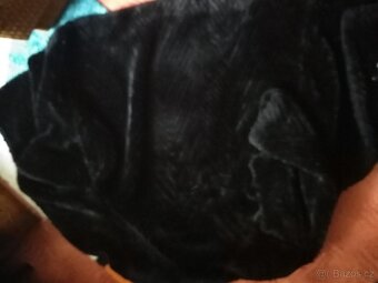 Kožíšek a šála - 10