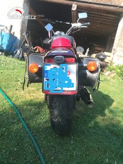 Honda VLX 600 Shadow - 10