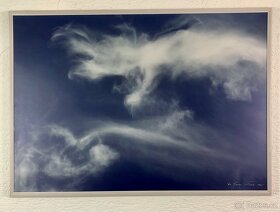 obraz - fotografie - 10