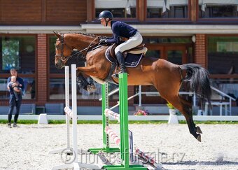 Conquistador x Cassini' s Son, TOP-charakter - 10