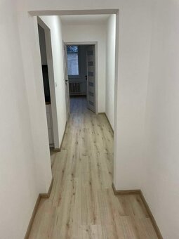Byt po celkové rekonstrukci 3+1 - 10