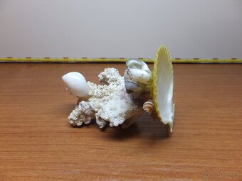 Retro dekorace s pravého mořského korálu a mušlí. - 10