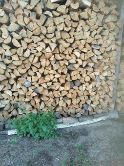 Prodám suché palivové  dřevo - 10