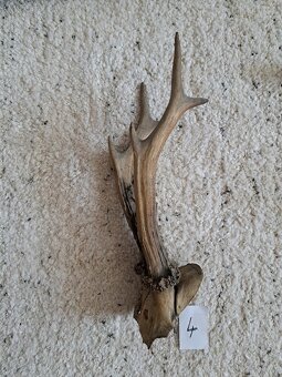 různé starožitné věci - 10