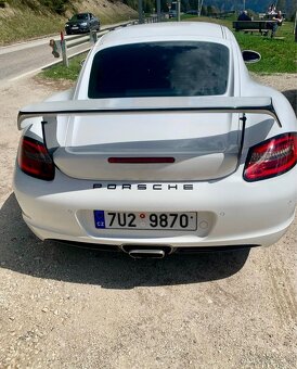 Porsche Cayman GT4/987 "Panda" Techart - 10