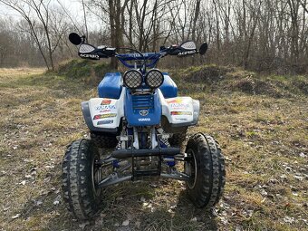 Yamaha Warrior 350 - 10