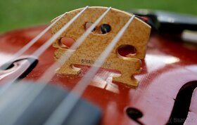 Mistrovská viola 42cm z Mittenwaldu od Karla Bitterera - 10