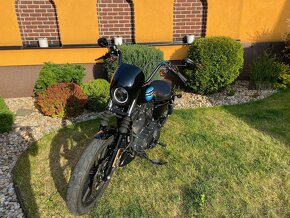 Harley Davidson Sportster XL 1200 NS Iron - 10