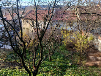 Pronájem řadového domu - 10