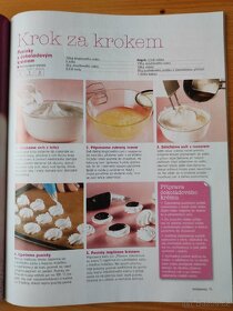 Časopisy Delikatesy a Praktická žena - 10