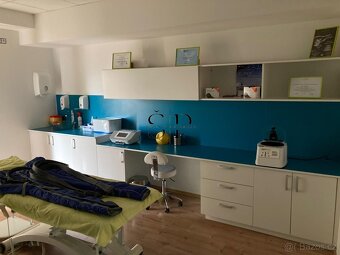 Luxusní nebytové prostory k pronájmu – 120 m², Plzeň - Červe - 10