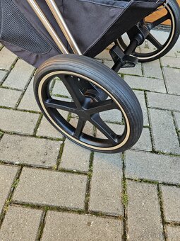 Cybex Priam / RoseGold / Simply Flowers / Lux Deep Black - 10