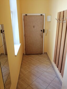 Pronájem 1+1, ulice Dornych, centrum (u Vaňkovky), 40 m2, ko - 10