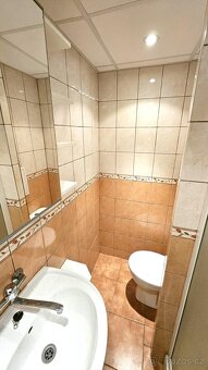 Pronájem bytu 1+kk, U Věžových domů 2936, Most - 10