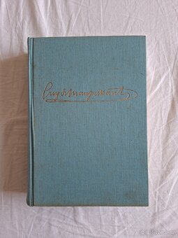 Neděle pařížského měšťáka - Guy de Maupassant - 10