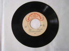 Staré gramofonové desky - 10