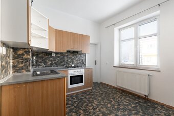 Pronájem bytu 3+1 150 m2 - 10