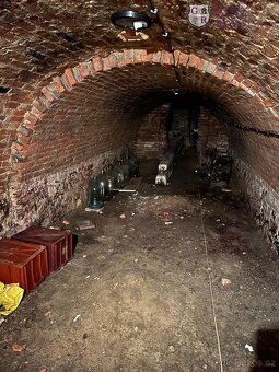 Prodej, vinný sklep s rodinným domem, 155 m2, Přítluky - 10