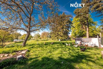 Prodej Rodinný dům, 225㎡ - 10