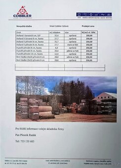 Zámková dlažba - 10