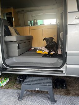 Vw T5 California - 10