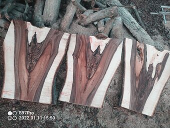 Super tmavé ořechové XXXL fošny a koláče - 10