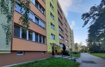 Pronájem bytu 1+1 Kopřivnice - 10