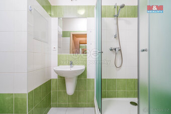 Pronájem bytu 1+kk, 57 m², Praha 10, ul. Hornoměcholupská - 10