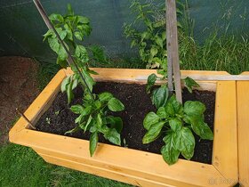 dřevěné vyvýšené zahradní záhony, květináče, jahodníky - 10