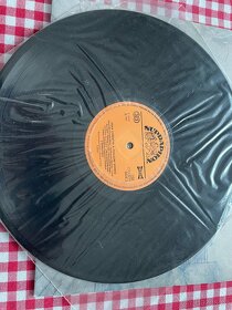 Gramofonové LP desky - 10