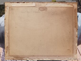 HRBEK OBRAZ OLEJ NA KARTONU - 10