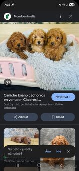 Pudl podvodníci ‼️‼️‼️ Stiahnuté fotky - 10