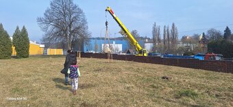 Provádíme - Zahradnické práce - Rizikové kácení - 10