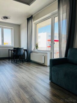 Pronájem bytu 1KK (42m2 + velký balkón 8m2) - 10